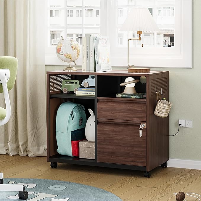 Letaya Mobile 2 Drawer File Cabinet with Lock, Metal Lateral Printer Stand Filing Storage Cabinets with Shelves for Home Office-A4/F4/Letter