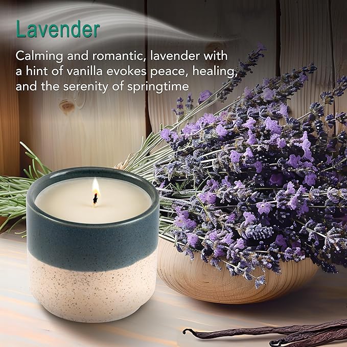 Hyggelight - The Growing Candle, Lavender Scented, 8.5oz Ceramic Pot, Single Wick Aromatherapy Candles, 100% Soy for Women and Men, Willow