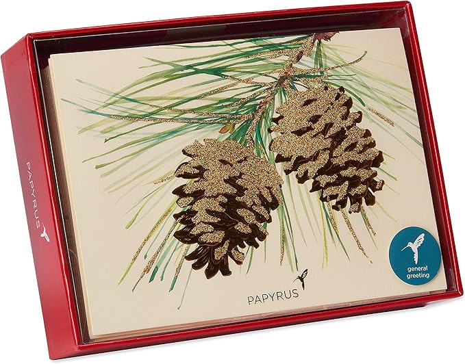 Papyrus Holiday Cards Boxed with Envelopes, Wonderful Year to Come, Pinecones (14-Count)